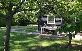 Ijsselmeer Lake Houses
